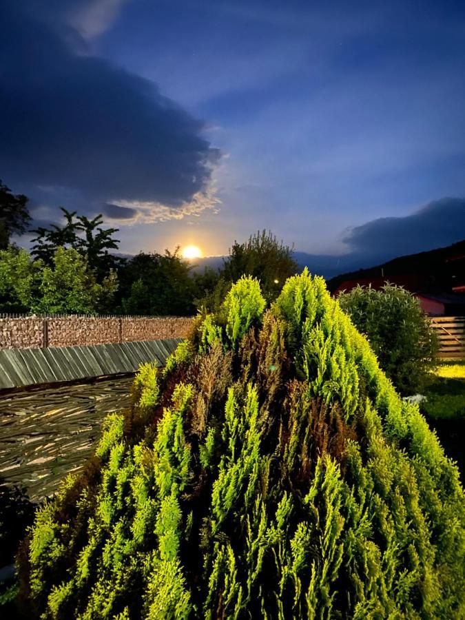 Hotel Casa Chira Vişeu de Sus Exterior foto